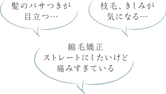 髪のパサつきが目立つ… 縮毛矯正ストレートにしたいけど痛みすぎている 枝毛、きしみが気になる…